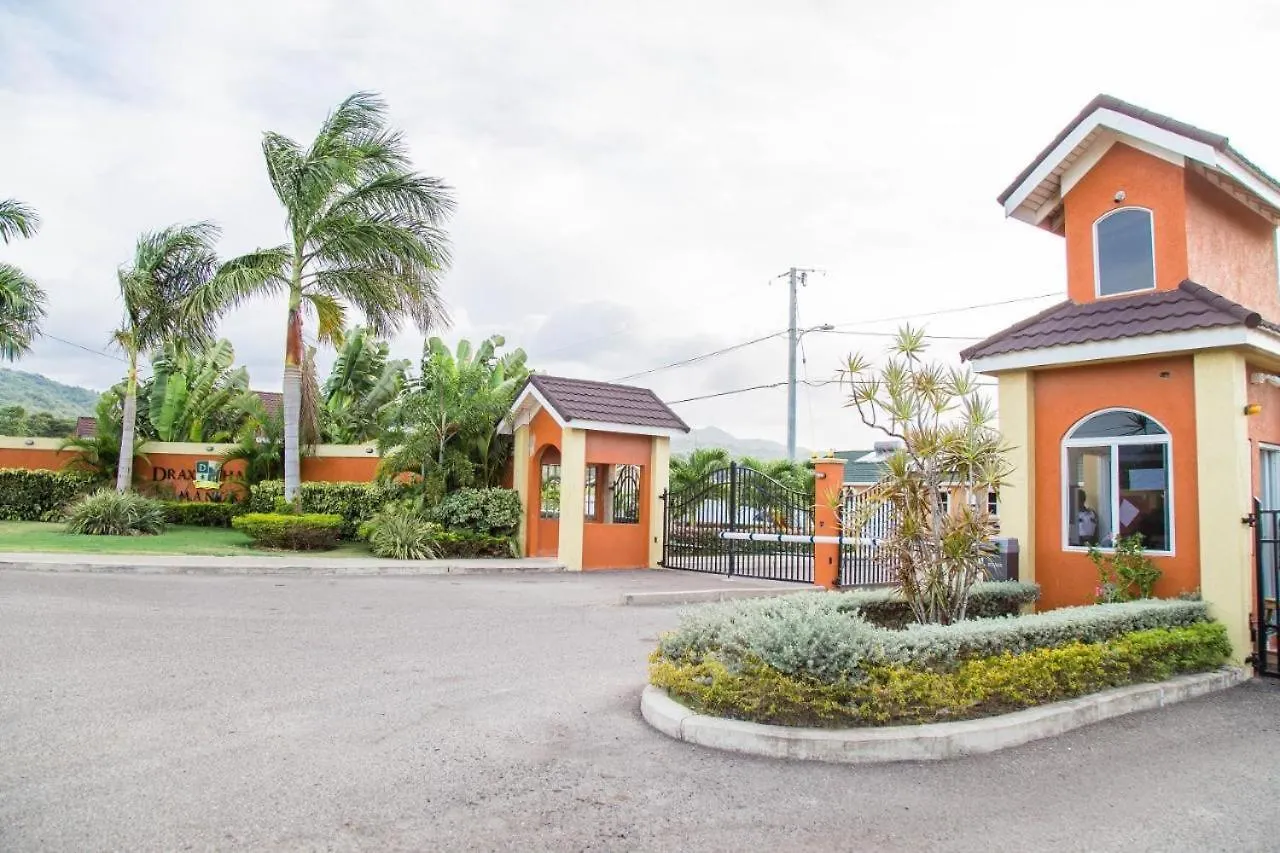 Homestay The Manor Apartment Steer Town